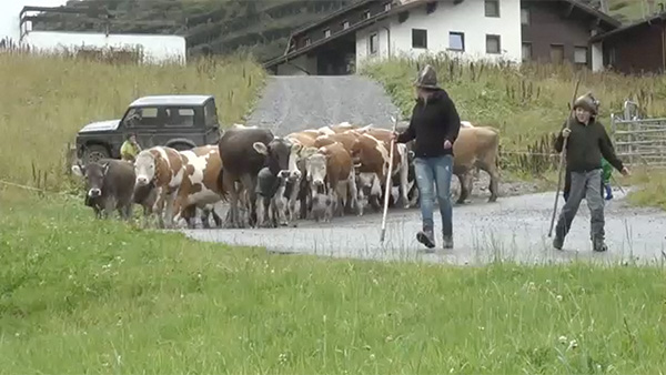Klicken und der Film startet.