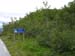 Norwegen_2008_0901