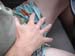 DSC03870