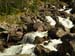 SAM_0733