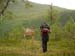 SAM_0778