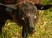 SAM_0797
