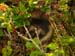 SAM_0798