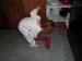 SAM_0876