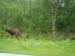 Norge_2011_07