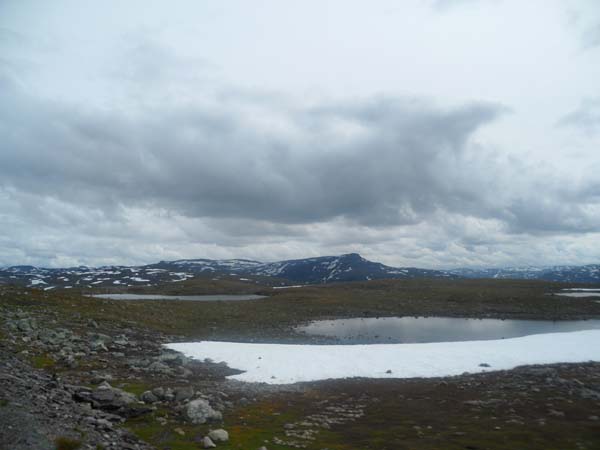 SAM_5875