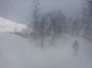 norge_2015_015.jpg