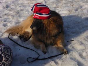 norge_2015_041.jpg