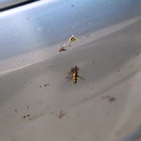 IMG_0047