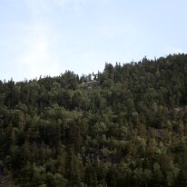 IMG_0339