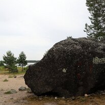IMG_1899