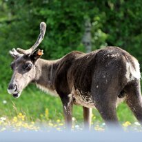 IMG_1937