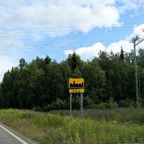 IMG_1942