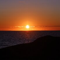 IMG_2946