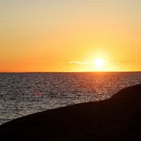 IMG_2954