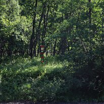 IMG_2980