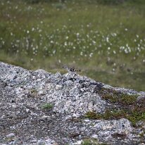 IMG_3220