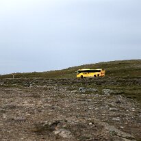 IMG_3229