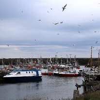 IMG_3239