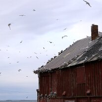 IMG_3242