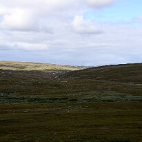 IMG_3363