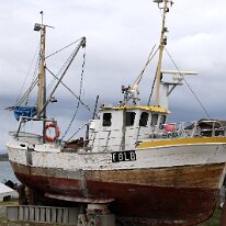 IMG_3373