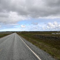IMG_3382