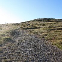 IMG_3568