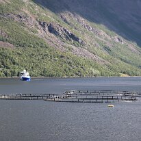 IMG_5333