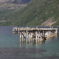 IMG_5341