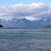 IMG_5342