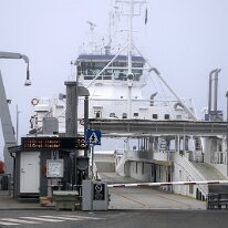 IMG_6965