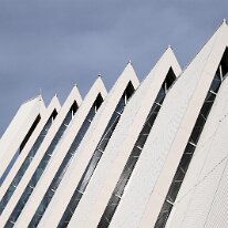 IMG_6991