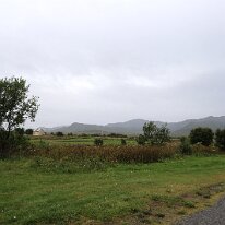 IMG_7282