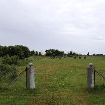 IMG_7283