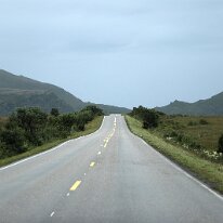 IMG_7287