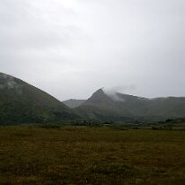 IMG_7291