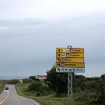 IMG_7293