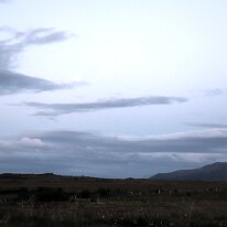 IMG_7351