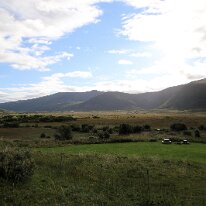 IMG_7352
