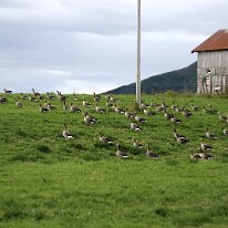 IMG_7369