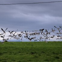 IMG_7373