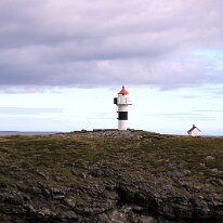 IMG_7381