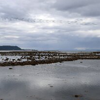 IMG_7385